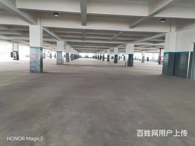 碧溪沿江开发区32000平方标准厂房出租，场地大，环境优美。 - 图片 9