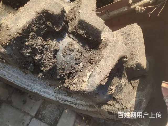 黄海金马704 - 图片 5