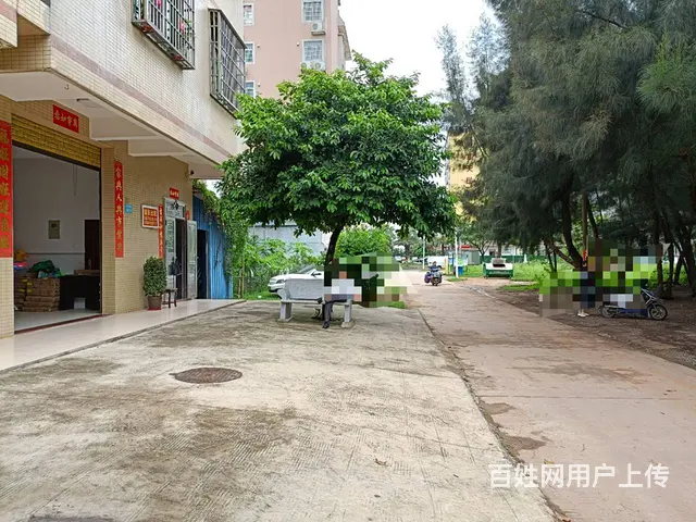（51旺铺推荐）桂林洋兴洋大道270平铺面房东直租 - 图片 7