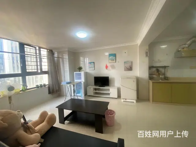 中骏旁 3米大窗户  独门  公寓 采光好 - 图片 1