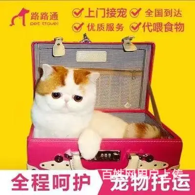 常州宠物托运公司，托运宠物，上门接宠 - 图片 2