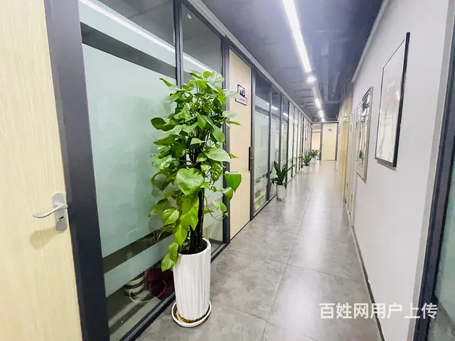 当天下证！精装带全套家具！五一商圈！用心企业！高质量的服务 - 图片 5