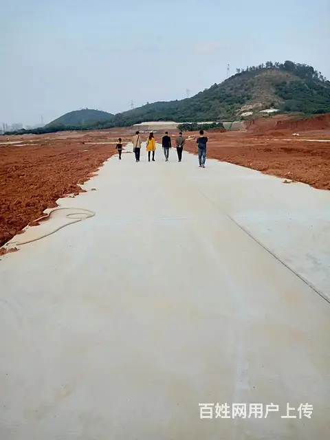 碧桂园塘岸路口附近农地入市集体土地转让岀售 - 图片 8