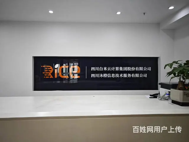 四川国际物流系统开发 - 图片 2
