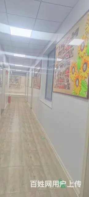 精装修可办公，培训，教育，直播行业其他等 做生意的好地方 - 图片 4