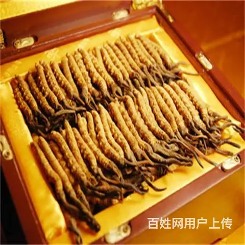 增城回收冬虫夏草-一盒虫草价格多少钱 - 图片 3