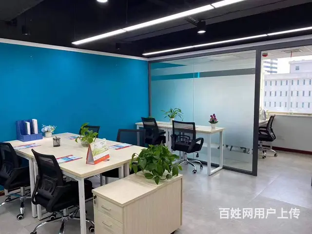 小规模 一般纳税人记账报税 一对一专业会计服务 - 图片 1