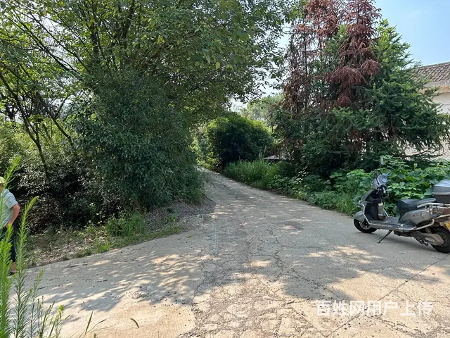 （老板本人） 长沙县黄兴镇自建厂房仓库出租  5773 - 图片 6