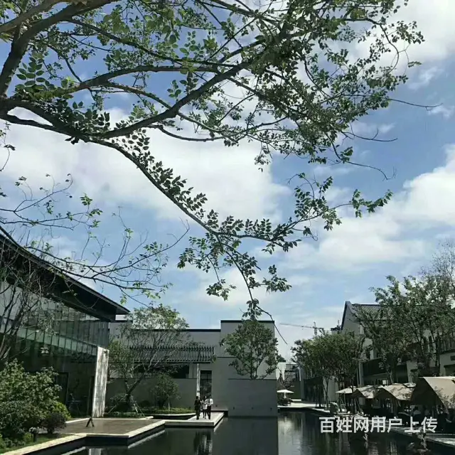 碧桂园欧洲城 江北老山 宁滁轻轨 地铁口 双语学校 - 图片 9
