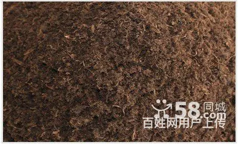 树木卖鹿粪鸡粪 猪粪 黑土 花土 假条茄子秧 - 图片 2