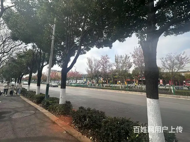 （51旺铺推荐）盘龙区金瓦路65平外卖店堂食店转让 - 图片 6