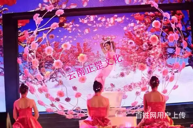 婚礼拍摄、会议直播、摄影摄像、演出录制、网红直播 - 图片 12