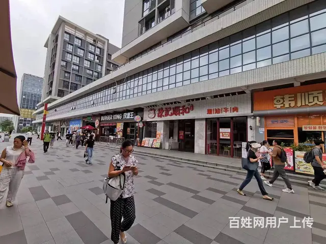 天河智慧城地铁21号线上盖密集住宅写字楼全首层商铺出租 租赁 - 图片 4