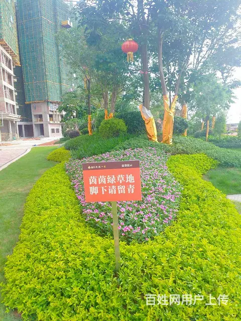 梧州江景楼盘！首付5万起！月供2700！三房两厅 - 图片 12