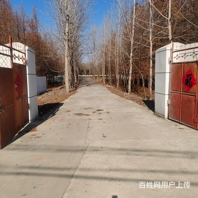 厂房场地出租，可进大车有路口出入非常方便 - 图片 1