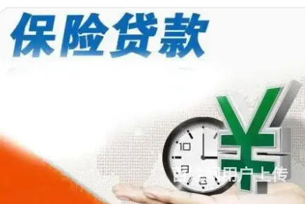 保单借款 _额度高-利率低-全国可做-现场到账 - 图片 3