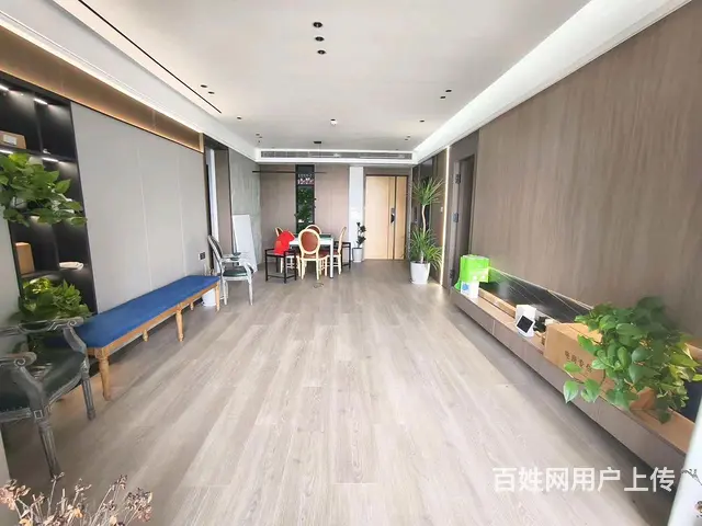 店长重点推荐！华侨城原岸好房出租，居住舒适，干净整 - 图片 4