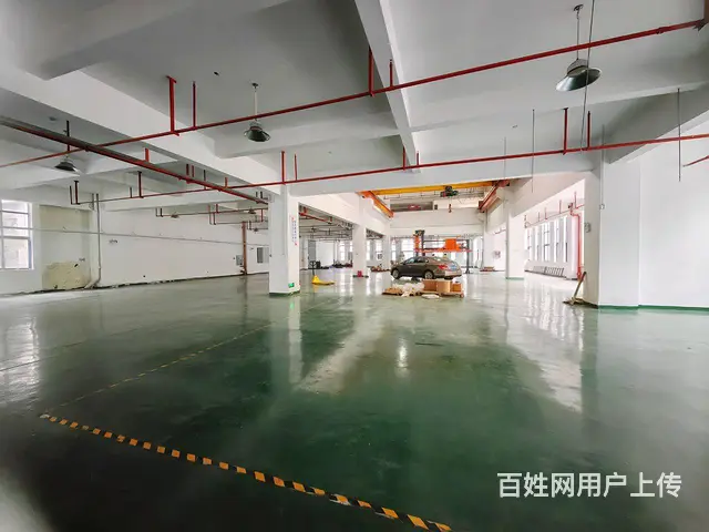 （房东直租）一楼实心厂房 - 图片 7