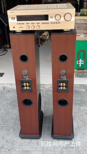转让一对丹麦雅锐发烧音箱，低音在侧面，配套马来西亚 - 图片 10