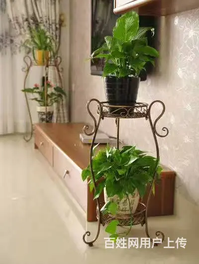 现场设计，各种立式多层，以及上墙花架，给你一个春意 - 图片 2