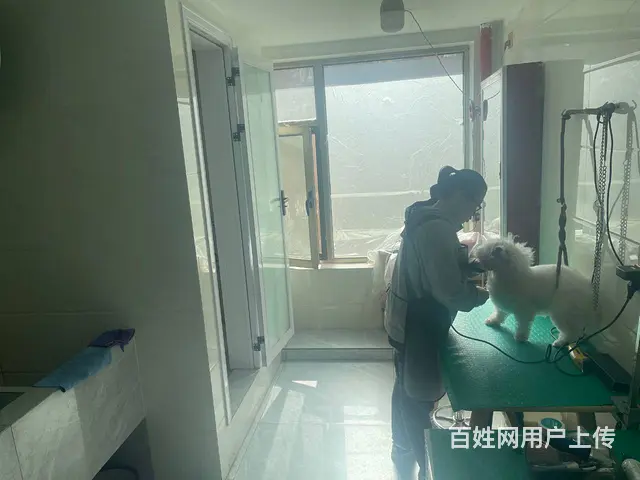 BP个人 城北萨尔斯堡三期有家宠物店转让 - 图片 8