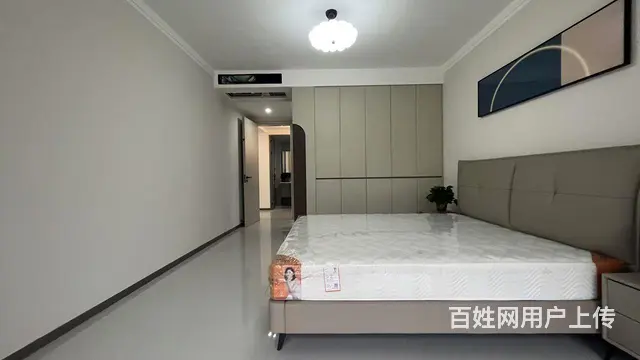 新理工大对面 理工帝湖湾 电梯房 16楼4室 - 图片 8