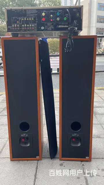 丹麦原装进口尊宝发烧音箱+马来西亚原装进口安桥功放 - 图片 9