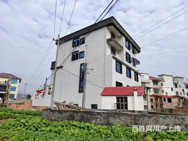 (麦子邦免费找店)房东直租,龙门镇菜市场出口三层临街商铺! - 图片 3