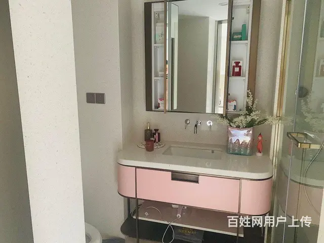 璞樾春秋挑高复式 售楼处直签 价格优惠 南北通透 民用水电 - 图片 10