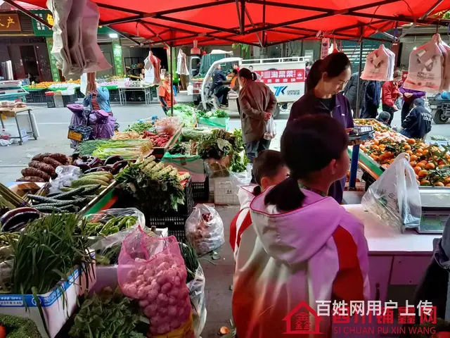 （四川铺鑫网）巴州区川剧团自堂坝80㎡水果蔬菜店转让 - 图片 9