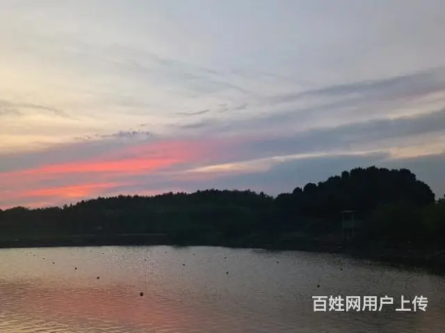七月晚场团建，烧烤+篝火 - 图片 4