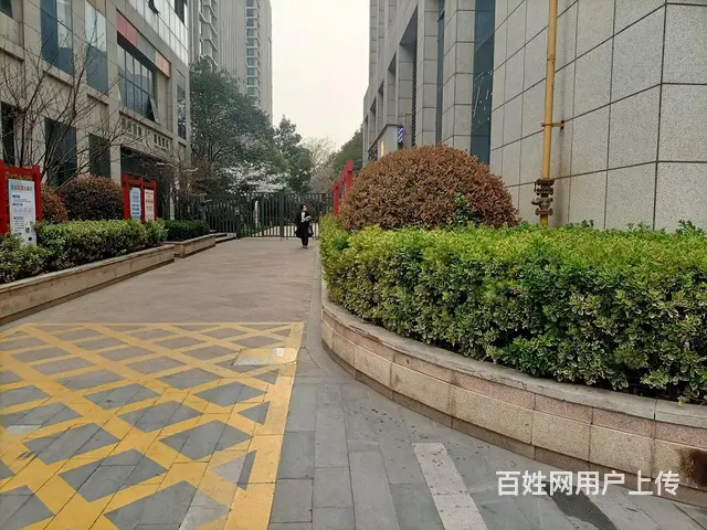 特价新上！正大国际 精装100平户型方正 地段繁华 多套可选 - 图片 2
