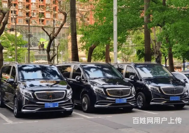 苏州租车帕萨特出租宝马专车服务 - 图片 2