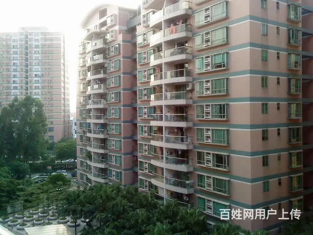 位置好，楼层好，采光好，满五税费少，业主诚意出售 - 图片 12