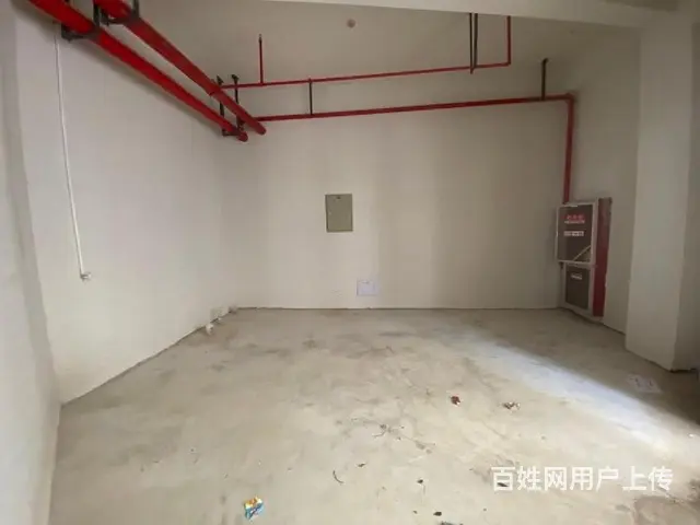 出售！武进湖塘拐角商铺纯一层 现铺位置可选 - 图片 12