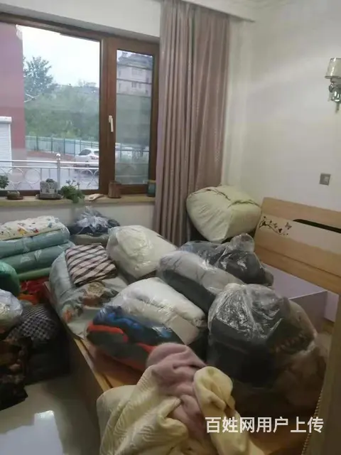 珠江华府1楼65平两室一，厅精装修，床，冰箱，热水器，沙发， - 图片 4
