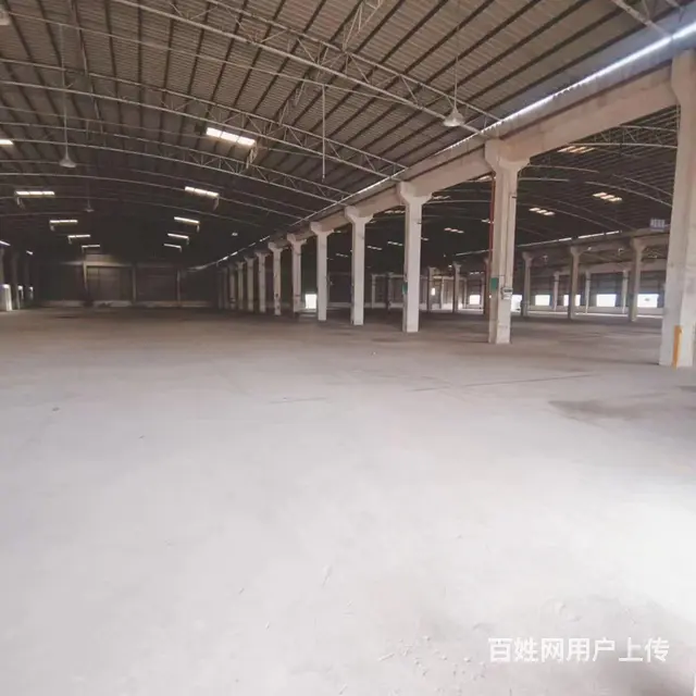 仙村厂房仓库出租出租 - 图片 3