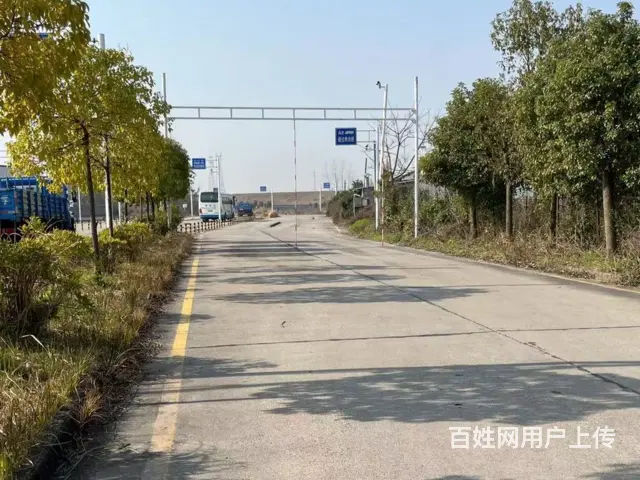 广州白云云城学大车驾照A1A3B1证 - 图片 1