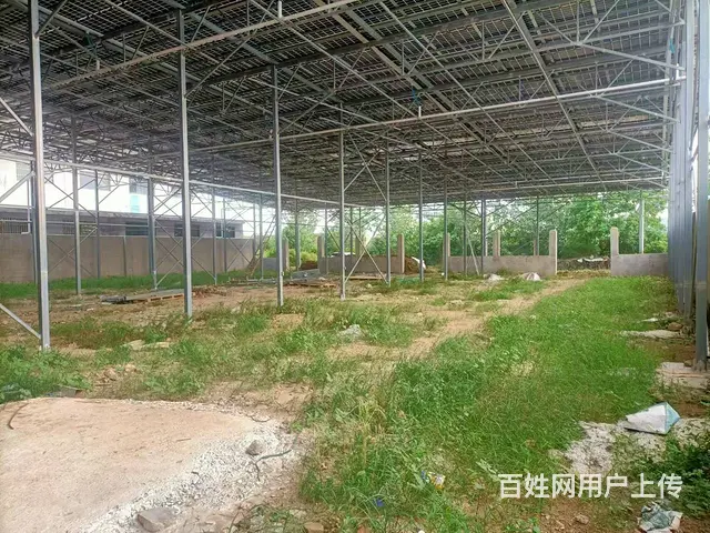 （圆点快讯）出租新沂小佃户厂房 - 图片 3