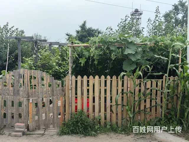 农家院便宜住 - 图片 6