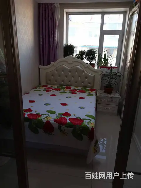 白鹤 普通住宅 精装修 - 图片 5