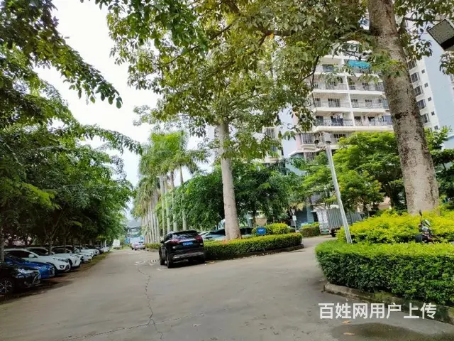 新大洲大道    儒俊雅苑3房 - 图片 11