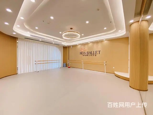 珠海舞蹈芭蕾舞成人舞蹈芭蕾舞培训 - 图片 12