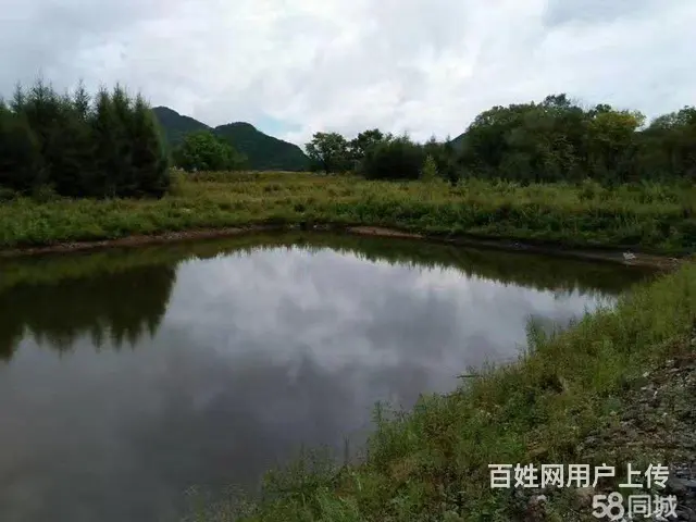 阿城山河屯厂房办公楼出售 - 图片 5