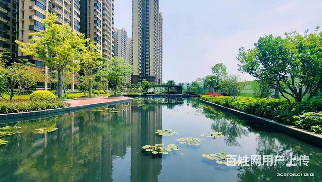 派车接送看房 笋盘 首付4万起 近轻轨 交通便利 - 图片 1