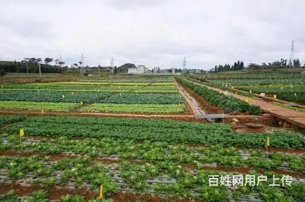 澳大利亚加拿大高薪招聘建筑工厨师司机工厂等工资月结 - 图片 9