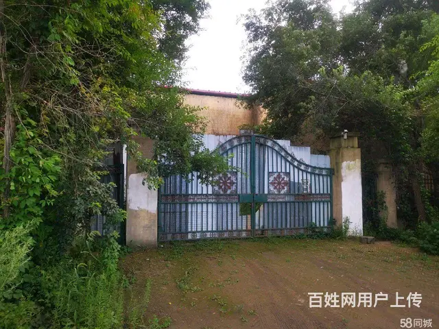 南岗哈西大街与三环路口厂房出租 - 图片 2