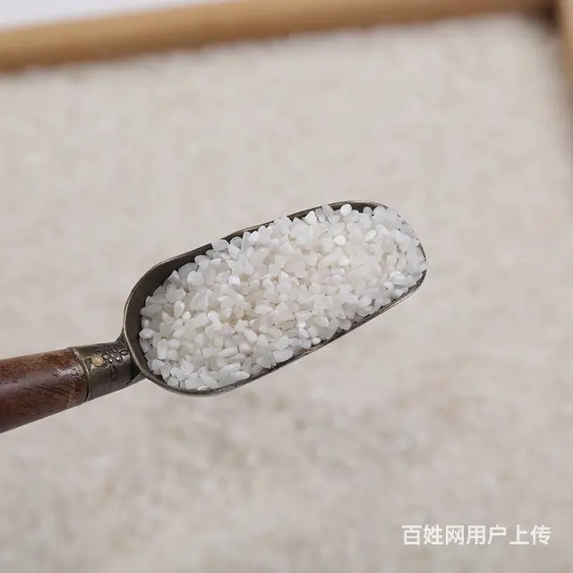 缅甸碎大米酿酒熬粥饲料五谷杂粮食品加工厂原料碎米 - 图片 3