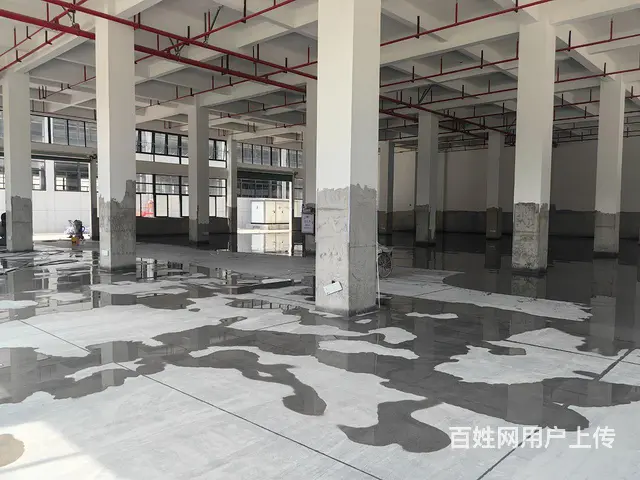 万洋众创城厂房出租一楼二楼 - 图片 2