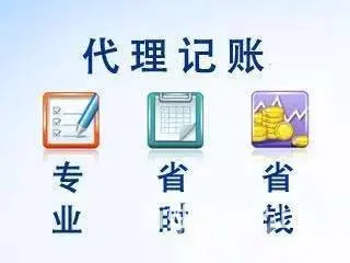 花都新华财税公司代理记账、花都本地公司代理记账报税 - 图片 5